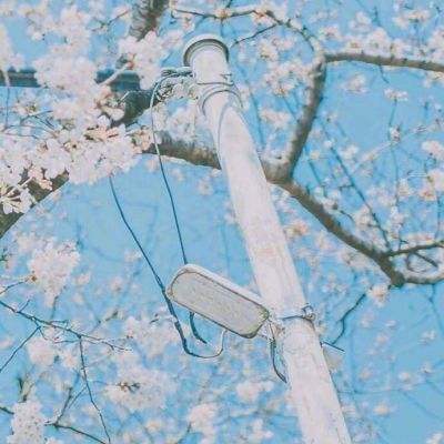 大王不高兴百度版下载